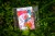 1-432.jpg