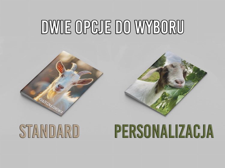 podst kopia.jpg