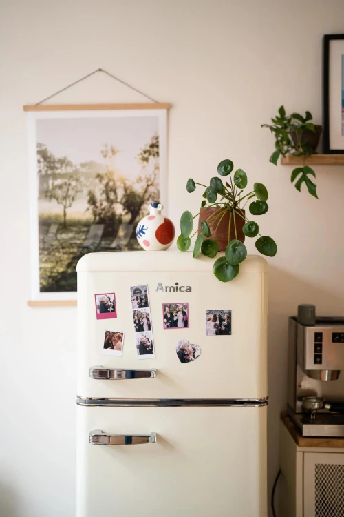 FOTO MAGNES 6x9cm
