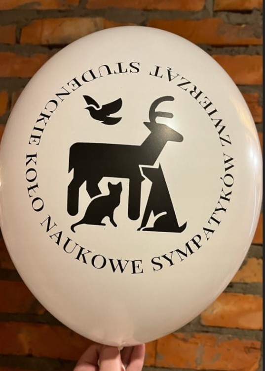 Zrzut ekranu 2024-08-18 122713.jpg